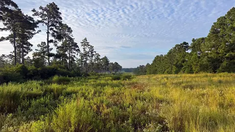8301 State Highway 7 Hwy E, Centerville, TX 75833 photo 4