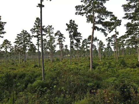 8301 State Highway 7 Hwy E, Centerville, TX 75833 photo 24