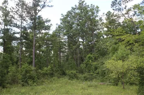 10182 County Road 208, Anderson, TX 77830