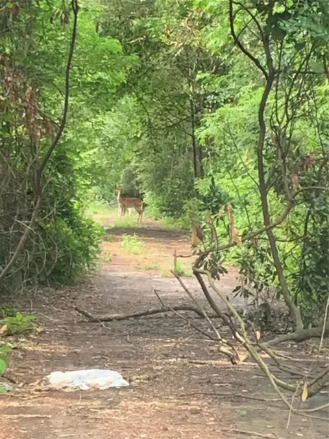 0 Cottonwood Cove Ln, Spring, TX 77380