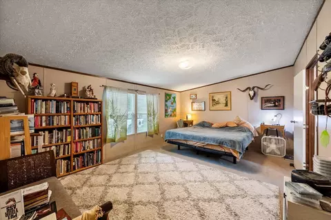 Bedroom - 14036 Old Texaco Rd, Conroe, TX 77302 photo 5 of 7