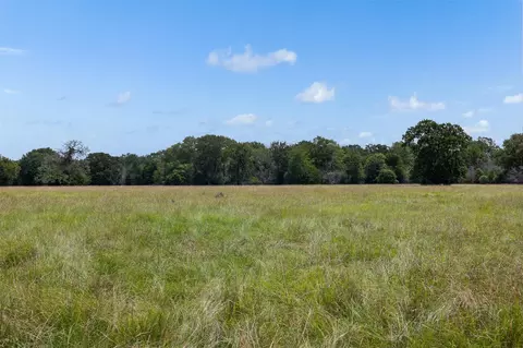 Other - 450 Ac Fm 974, Bryan, TX 77808 photo 6 of 15