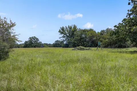 Other - 450 Ac Fm 974, Bryan, TX 77808 photo 7 of 15