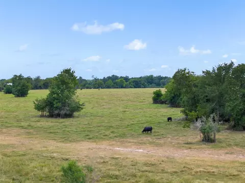 Other - 450 Ac Fm 974, Bryan, TX 77808 photo 13 of 15