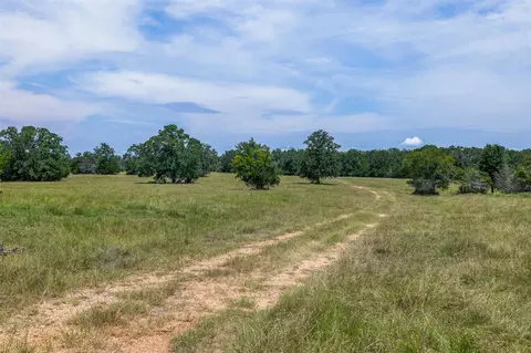 Other - 450 Ac Fm 974, Bryan, TX 77808 photo 10 of 15