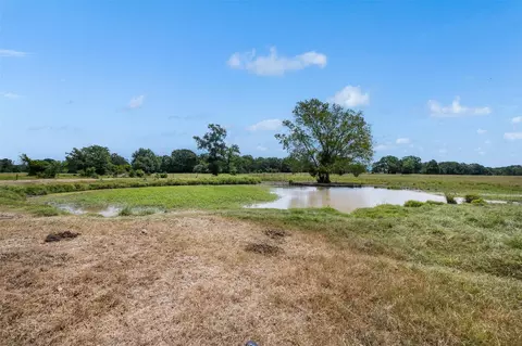 Other - 450 Ac Fm 974, Bryan, TX 77808 photo 11 of 15