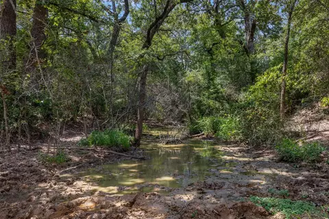 Other - 450 Ac Fm 974, Bryan, TX 77808 photo 4 of 15