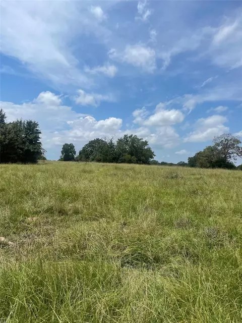 Other - 450 Ac Fm 974, Bryan, TX 77808 photo 14 of 15