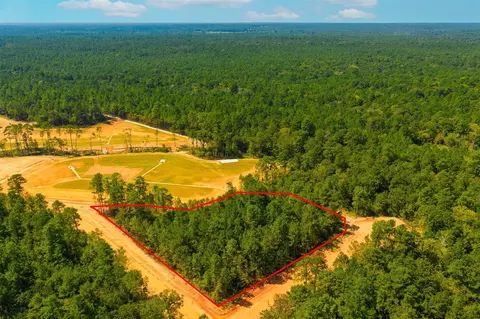 26411 Old Head Trl, Montgomery, TX 77316