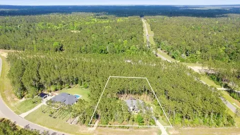 View/Area - 15516 Forest Grove Dr, Willis, TX 77378 photo 2 of 2