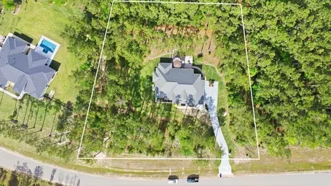 View/Area - 15516 Forest Grove Dr, Willis, TX 77378 photo 1 of 2