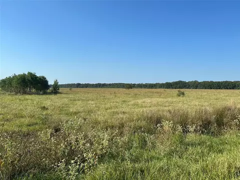 lot63 Minnie West Rd Dr, Hull, TX 77564