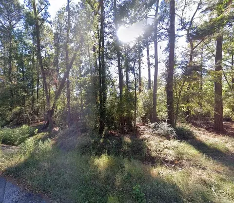 tbd Parkview Dr, Onalaska, TX 77360