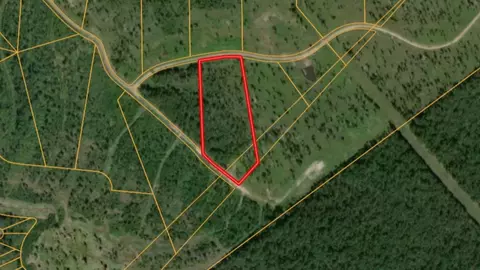 lot10 Eagle Falls Blvd, Trinity, TX 75862