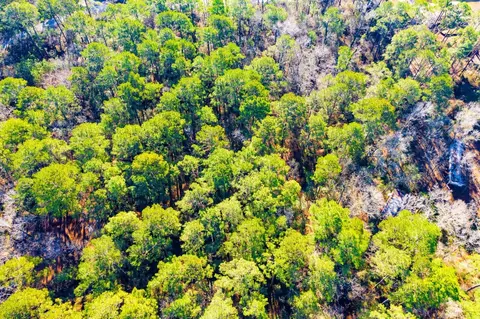 lot30 Cedar Ct, Trinity, TX 75862 photo 11