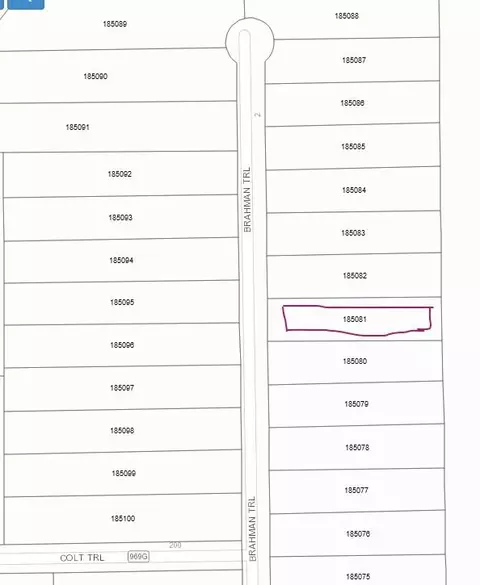 348 Brahman Trl, Angleton, TX 77515