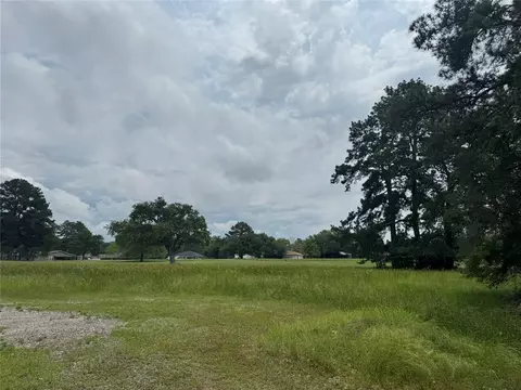 tbd 010 Westwood Dr, Trinity, TX 75862 photo 1