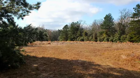 tbd La Petite Ct, Trinity, TX 75862