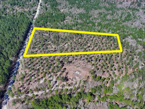 Other - 01 Boontown Rd, Trinity, TX 75845 photo 3 of 8