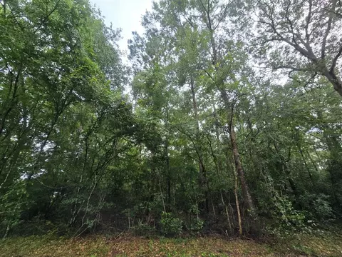 1208 County Road 377, Cleveland, TX 77327