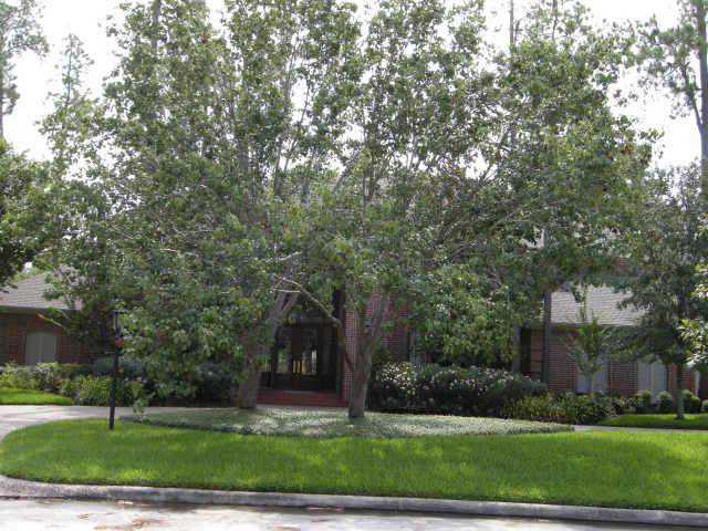8427 October Shadow, Spring, TX 77379 photo 1