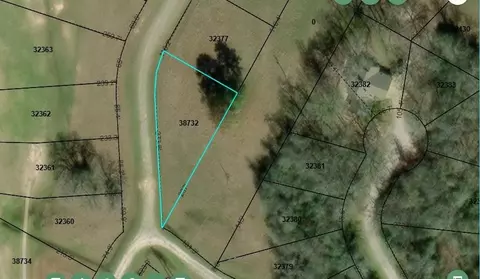 tbd Hot Springs Dr, Trinity, TX 75862 photo 3