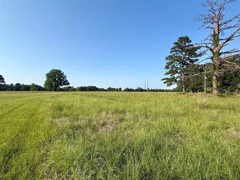 tbd Hot Springs Dr, Trinity, TX 75862 photo 4