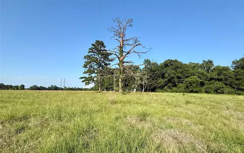 tbd Hot Springs Dr, Trinity, TX 75862 photo 2