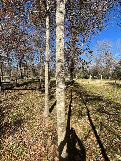 0 Mcgregor, Conroe, TX 77302 photo 6