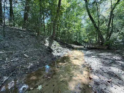 40 Ac Pr 2190, Buffalo, TX 75831