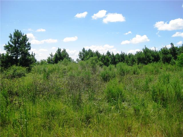 18811 Valka Rd, Spring, TX 77379 photo 1