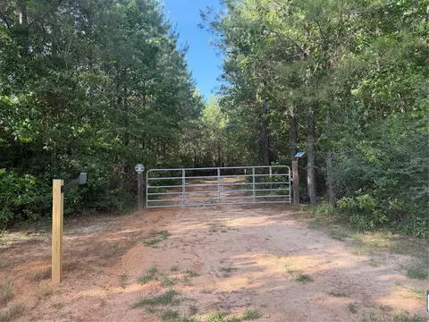 4419 Menard Chapel Rd E, Segno, TX 77351