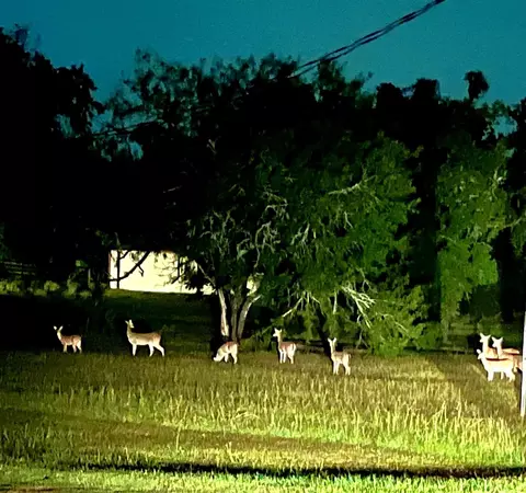 2217 Creek Rd, Brookshire, TX 77423