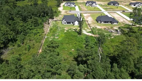 View/Area - 15004 Tybee Ln, Conroe, TX 77306 photo 2 of 3