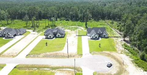 View/Area - 15004 Tybee Ln, Conroe, TX 77306 photo 3 of 3
