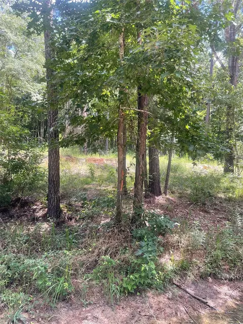 70 Tall Timbers Trl, Coldspring, TX 77331