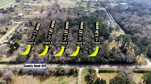 0 County Road 422-tract 1, Alvin, TX 77511