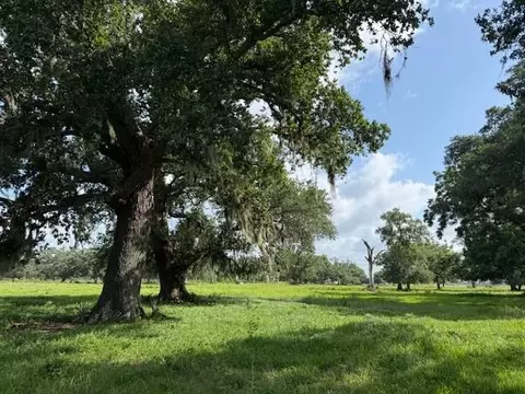 0 County Road 153 Sims Ave Rd, Cedar Lane, TX 77415