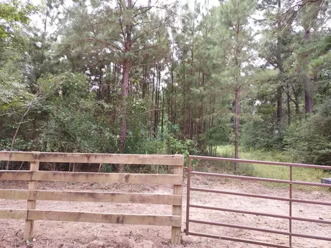 811 Plantation Dr, Livingston, TX 77351