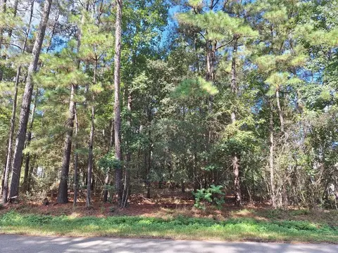 1023 Weisinger Dr, Magnolia, TX 77354