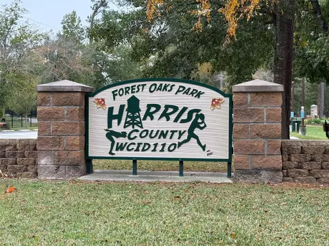 Other - 518 Magic Oaks Dr, Spring, TX 77388 photo 8 of 8