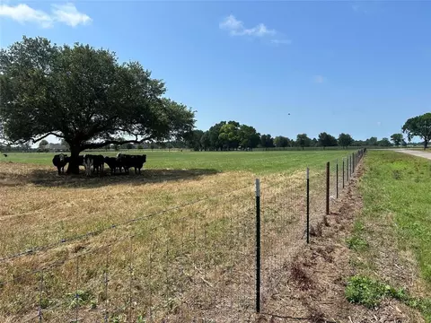 38535 Wiggins Rd, Hempstead, TX 77445 photo 15