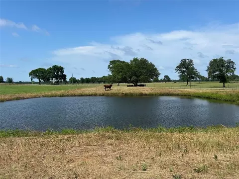 38535 Wiggins Rd, Hempstead, TX 77445 photo 3