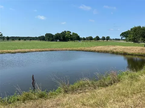 38535 Wiggins Rd, Hempstead, TX 77445 photo 6