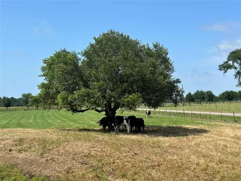 38535 Wiggins Rd, Hempstead, TX 77445 photo 9