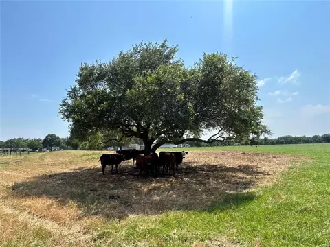 38535 Wiggins Rd, Hempstead, TX 77445 photo 10