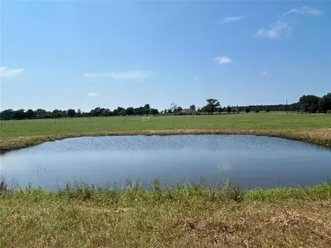 38535 Wiggins Rd, Hempstead, TX 77445 photo 7