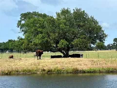 38535 Wiggins Rd, Hempstead, TX 77445 photo 4