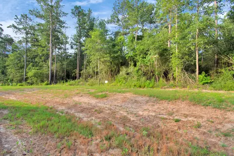 15365 Red Hawk Rd, Willis, TX 77378 photo 14
