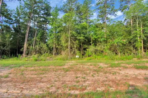 15365 Red Hawk Rd, Willis, TX 77378 photo 13